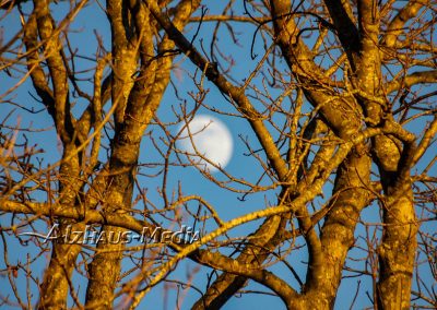 Alzhaus-Media Bildagentur im Chiemgau: Mond über Chieming