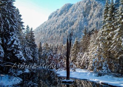 Alzhaus-Media Bildagentur im Chiemgau: