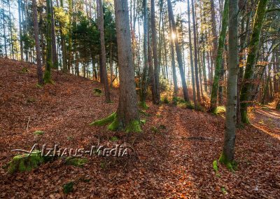 Alzhaus-Media Bildagentur im Chiemgau: Herbststimmung am Griessee