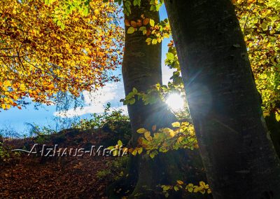 Alzhaus-Media Bildagentur im Chiemgau: Herbststimmung am Trostberger Pflegerweg